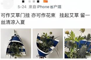 哈姆：我每天都和佩林卡有交流 我们会把事情做得更好的